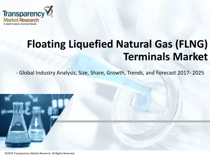 floating liquefied natural gas flng terminals market