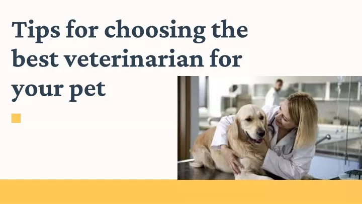 tips for choosing the best veterinarian for your