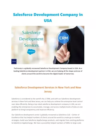 salesforce development company in usa