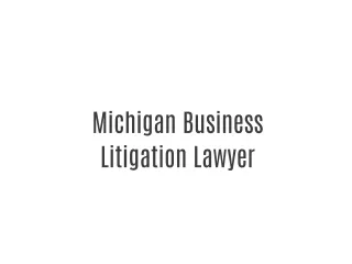 Michigan Business Litigation Lawyer