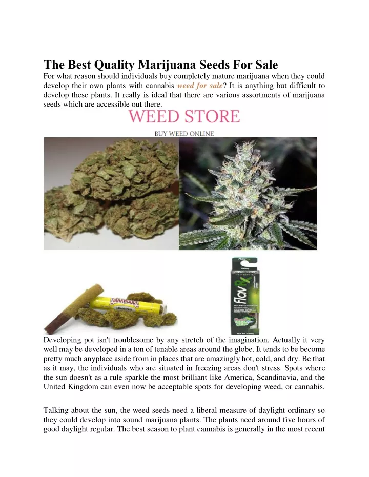the best quality marijuana seeds for sale