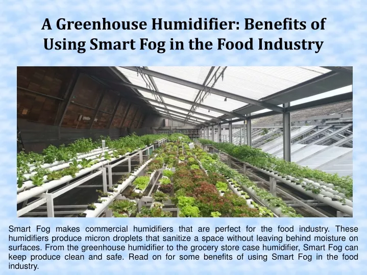 a greenhouse humidifier benefits of using smart fog in the food industry
