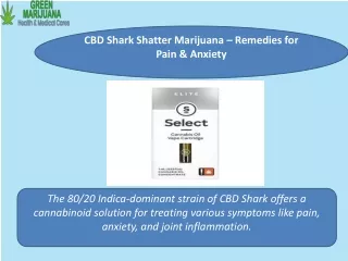 CBD Shark Shatter Marijuana – Remedies for Pain & Anxiety