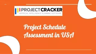 Project Schedule Assessment in USA