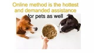 Online method is the hottest and demanded assistance for pets as well