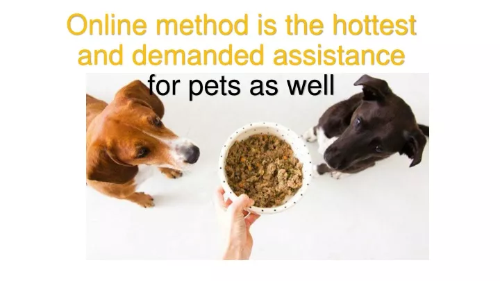 online method is the hottest and demanded assistance for pets as well