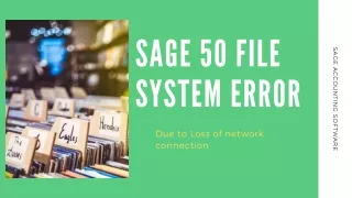 Sage 50 File System Error and Issue