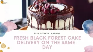 The Same-Day Cakes Delivery in Canada | Gift Delivery Canada | Free Shipping