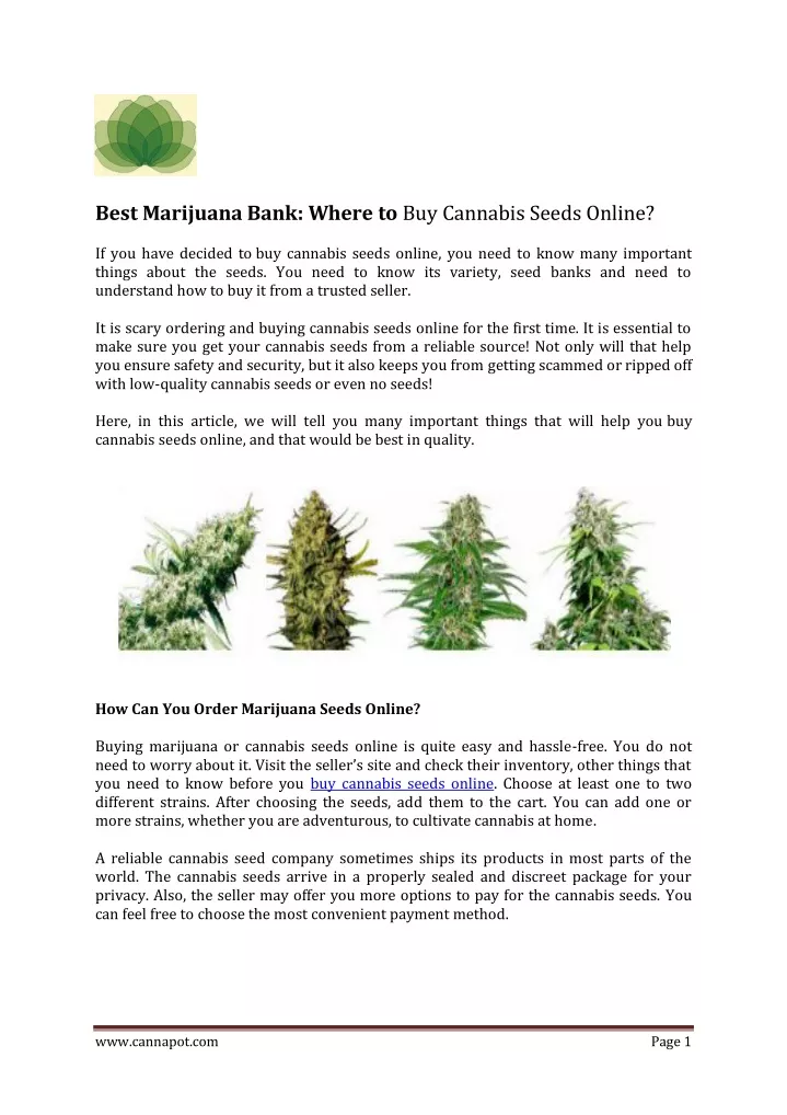 best marijuana bank where to buy cannabis seeds