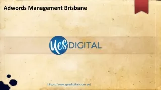 Adwords Management Brisbane
