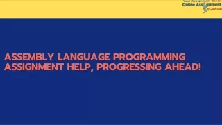 assembly language programming assignment help