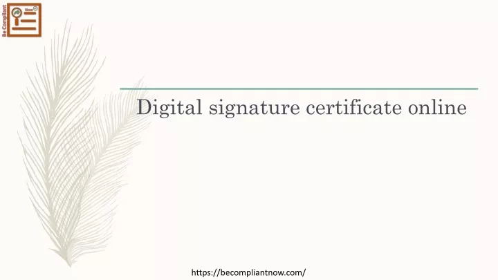 digital signature certificate online