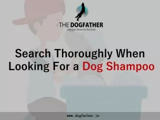 Search Thoroughly When Looking For a Dog Shampoo