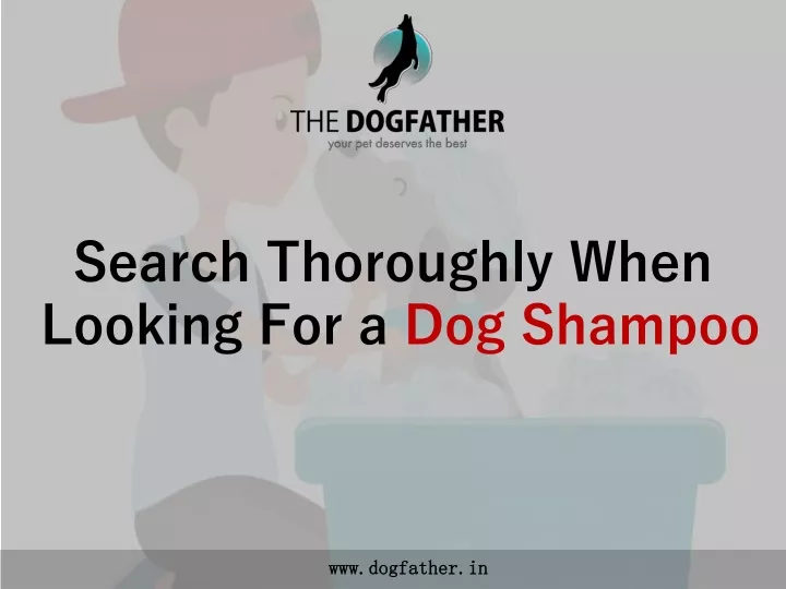 search thoroughly when looking for a dog shampoo