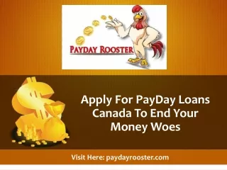 Apply For PayDay Loans Canada To End Your Money Woes – PayDay Rooster