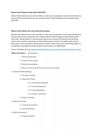 wheat protein market trends report 2020 2025