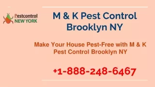 M & K Pest Control Brooklyn NY