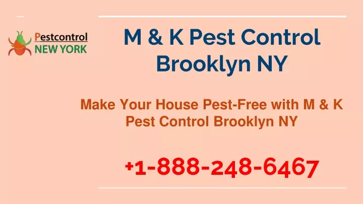 m k pest control brooklyn ny 1 888 248 6467