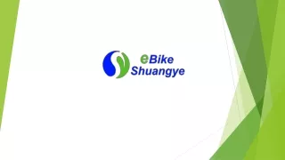 Ebike Shuangye
