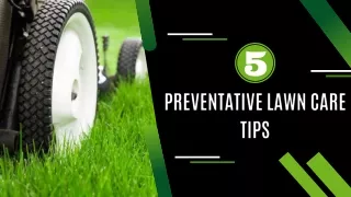 5 Preventative Lawn Care Tips
