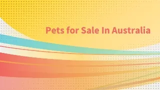Buy and Sell Pets At ADSCT in Australia