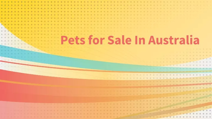 pets for sale in australia