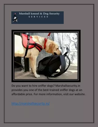 Sniffer Dogs on Hire | Marshallsecurity.in