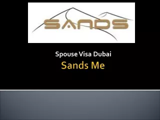 Maid Visa Dubai