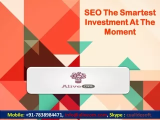 SEO The Smartest Investment At The Moment