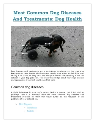 most common dog diseases and treatments dog health