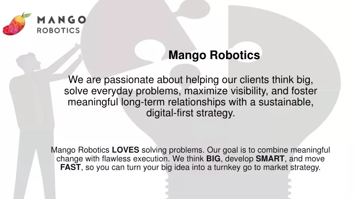 mango robotics