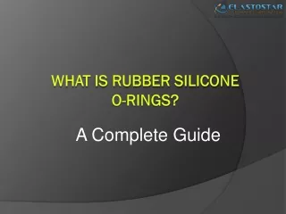 Silicone Rubber O-Rings