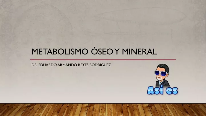 metabolismo seo y mineral