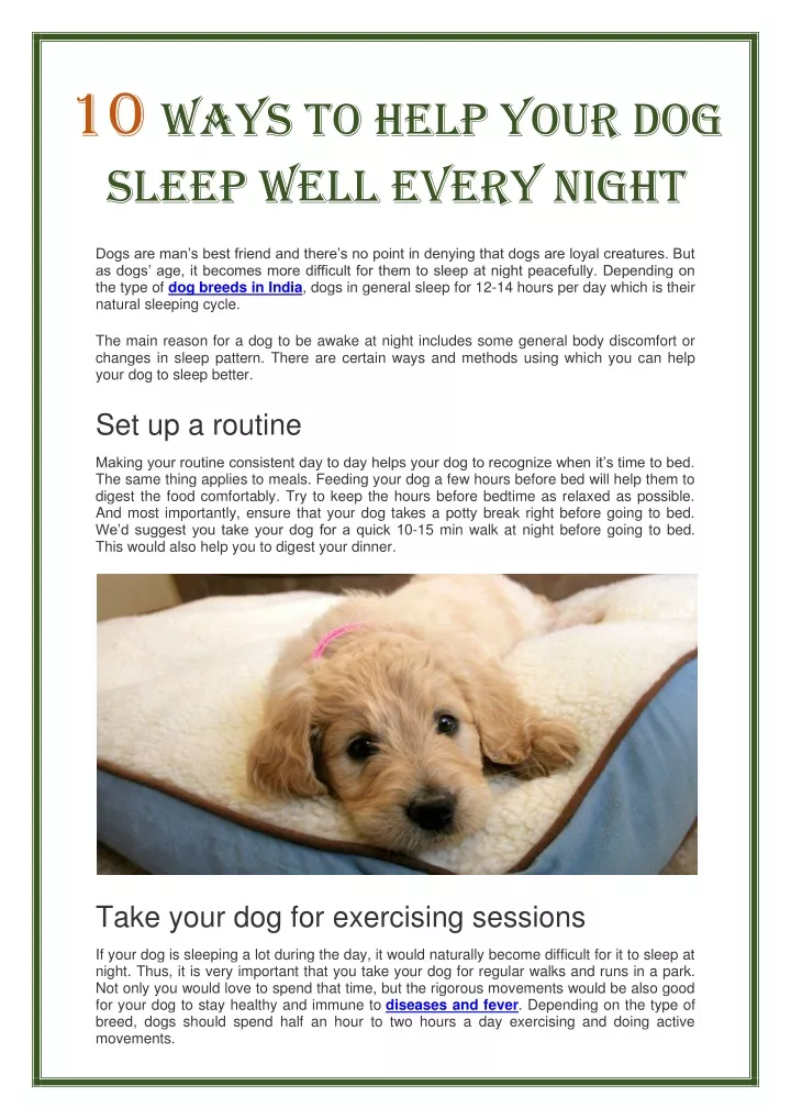 10 ways to help your dog sleep well every night