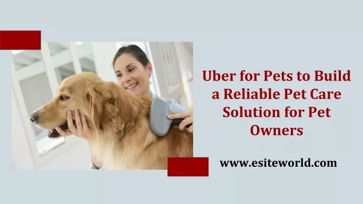 uber for pets to build a reliable pet care