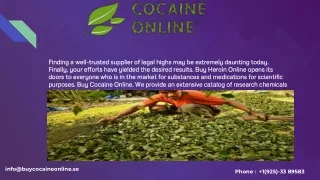finding a well trusted supplier of legal highs