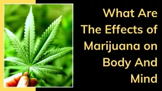 What Are The Effects of Marijuana on Body & Mind