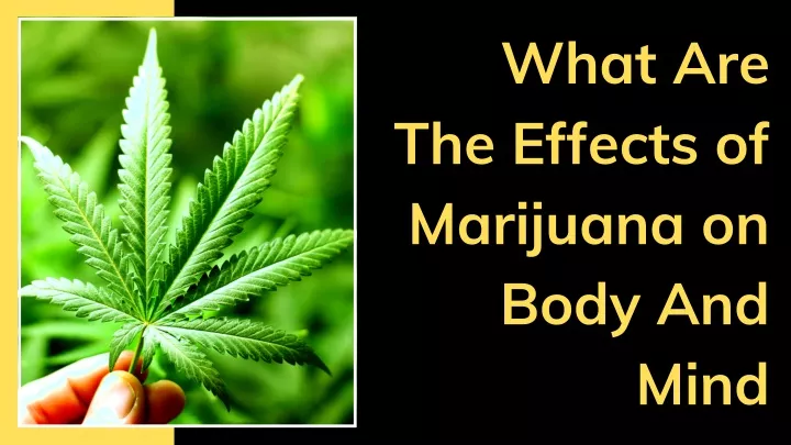 what are the effects of marijuana on body and