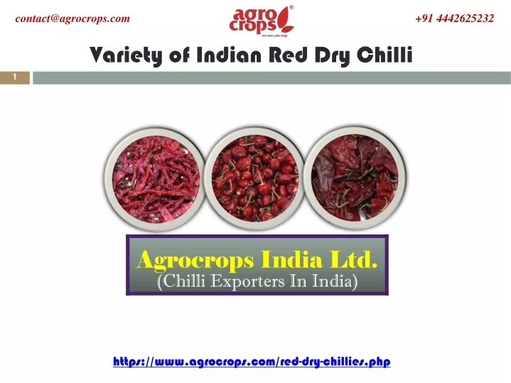 variety of indian red dry chilli