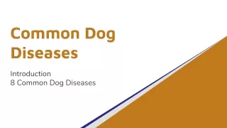 Common Dog Disease | Take Online Vet Consultation