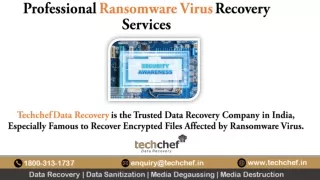 Ransomware Data Recovery, Recover Deleted/Encrypted Files by Ransomware Virus