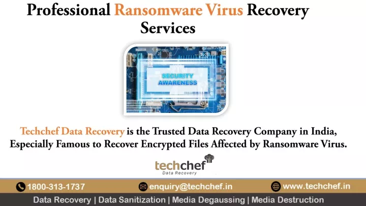 professional ransomware virus recovery services