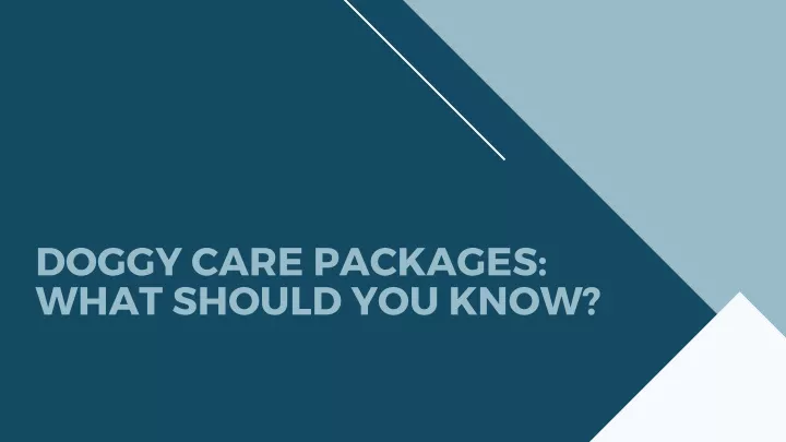 doggy care packages what should you know