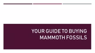 your guide to buying mammoth fossils