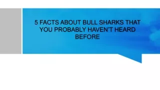 5 facts about bull sharks that you probably haven t heard before