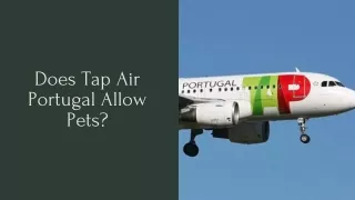 Does Tap Air Portugal Allow Pets?