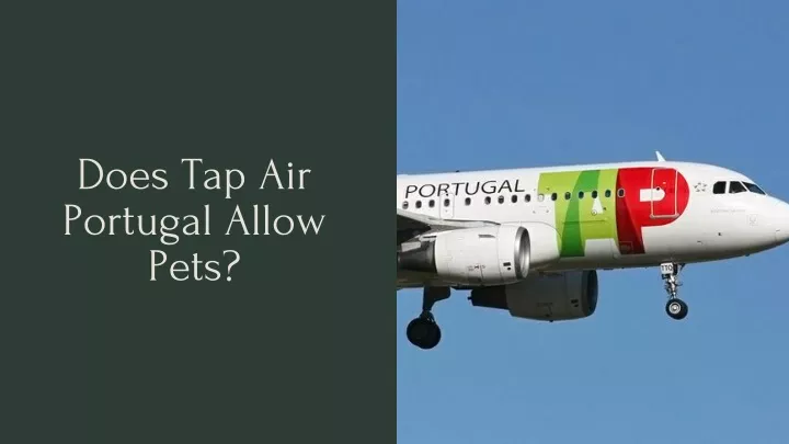 does tap air portugal allow pets