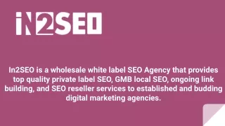 in2seo is a wholesale white label seo agency that
