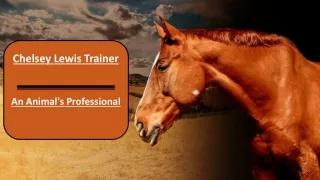 Chelsey Lewis Trainer An Animal's Professional