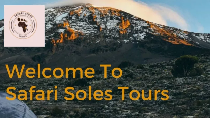 welcome to safari soles tours